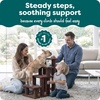 Furhaven Steady Paws Multi-Step Pet Stairs for High Beds & Sofas – Brown, 4-Step