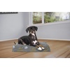 Furhaven Water-Resistant Orthopedic Dog Bed for Large Dogs w/ Removable Washable Cover, For Dogs Up to 95 lbs – Indoor/Outdoor Logo Print Oxford Polycanvas Mattress – Stone Gray, Jumbo/XL(Dlx Mat – Garden Print (Iron Gate))