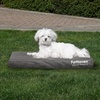 Furhaven Water-Resistant Orthopedic Dog Bed for Large Dogs w/ Removable Washable Cover, For Dogs Up to 95 lbs – Indoor/Outdoor Logo Print Oxford Polycanvas Mattress – Stone Gray, Jumbo/XL(Water-Resistant Logo Print (Stone Gray))