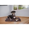 Furhaven Water-Resistant Orthopedic Dog Bed for Large Dogs w/ Removable Washable Cover, For Dogs Up to 95 lbs – Indoor/Outdoor Logo Print Oxford Polycanvas Mattress – Stone Gray, Jumbo/XL(Water-Resistant Garden Print (Bark Brown))