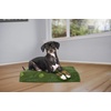 Furhaven Water-Resistant Orthopedic Dog Bed for Large Dogs w/ Removable Washable Cover, For Dogs Up to 95 lbs – Indoor/Outdoor Logo Print Oxford Polycanvas Mattress – Stone Gray, Jumbo/XL(Water-Resistant Garden Print (Jungle Green))