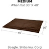 Furhaven Waterproof Throw Blanket for Dogs & Indoor Cats, Washable – Two-Tone Luxe Velvet Dog Blanket – Celadon Green, Medium(Brownstone)