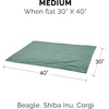 Furhaven Waterproof Throw Blanket for Dogs & Indoor Cats, Washable – Two-Tone Luxe Velvet Dog Blanket – Celadon Green, Medium(Celadon Green)