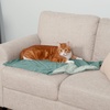 Furhaven Waterproof Throw Blanket for Dogs & Indoor Cats, Washable – Two-Tone Luxe Velvet Dog Blanket – Celadon Green, Medium(Celadon Green)