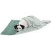 Furhaven Waterproof Throw Blanket for Dogs & Indoor Cats, Washable – Two-Tone Luxe Velvet Dog Blanket – Celadon Green, Medium(Celadon Green)