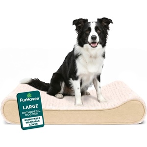 FurHaven Orthopedic Dog Bed for Large/Medium Dogs, Luxe Lounger Contour Mattress with Medical-Grade Solid Orthopedic Foam for Joint Support, Removable Washable Cover, Large, Plush Suede, Cream