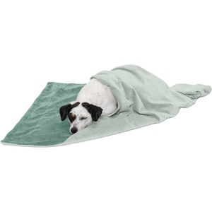 Furhaven Waterproof Throw Blanket for Dogs & Indoor Cats, Washable – Two-Tone Luxe Velvet Dog Blanket – Celadon Green, Medium(Celadon Green)