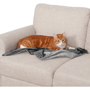 Furhaven Waterproof Throw Blanket for Dogs & Indoor Cats, Washable – Two-Tone Luxe Velvet Dog Blanket – Celadon Green, Medium(Granite Gray)