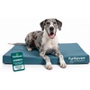 FurHaven Water-Resistant Cooling Gel Dog Bed for Large Dogs, Cool Gel-Top Foam with a Solid Orthopedic Foam Base for Comfort and Support, Washable Cover, Jumbo Plus XXL, Polycanvas, Deep Lagoon