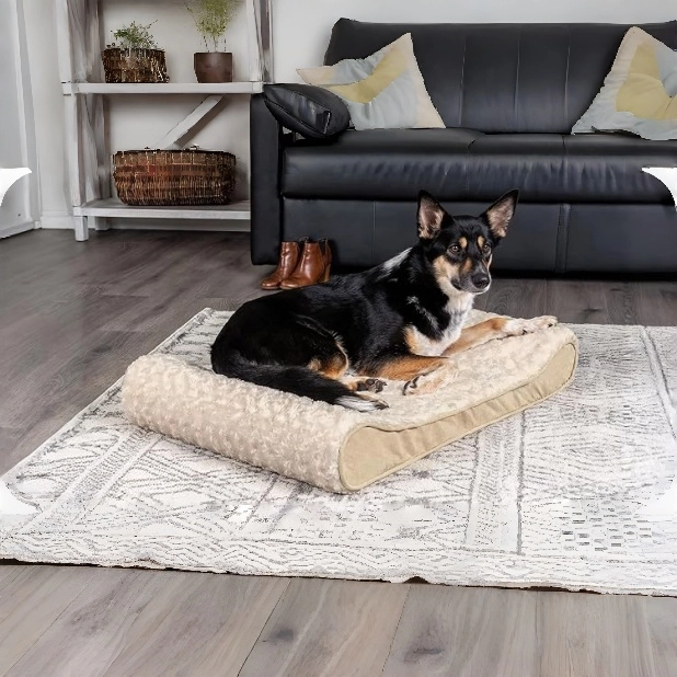 FURHAVEN Large Breed Dog Bed and Puppy Essentials