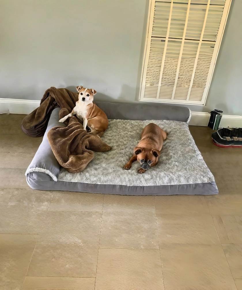 FURHAVEN Large Breed Dog Bed and Puppy Essentials