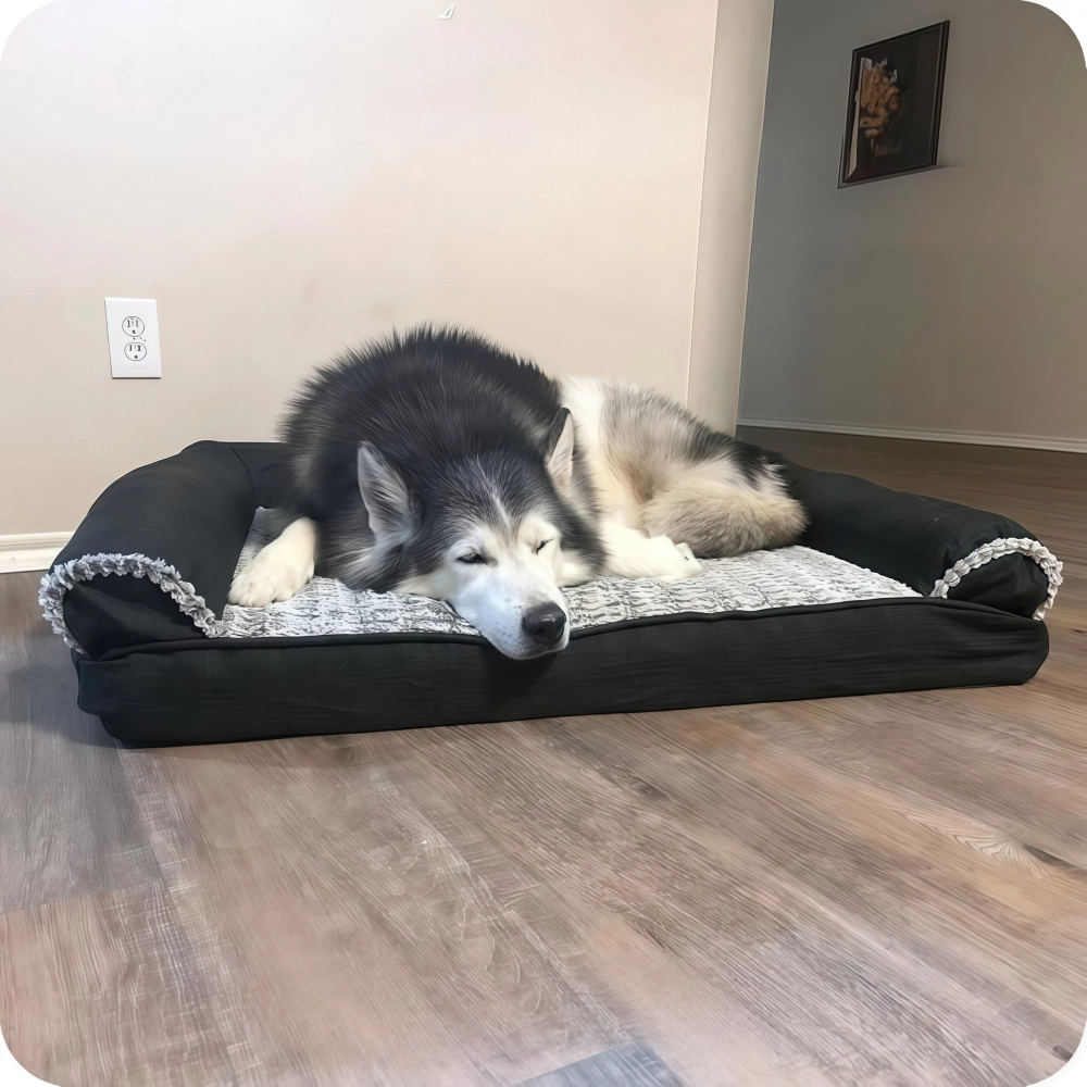 FURHAVEN Large Breed Dog Bed and Puppy Essentials